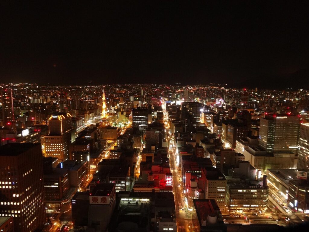 sapporo night